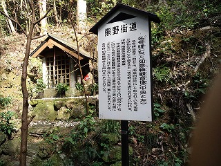 CA3I0087.jpg