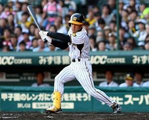 狙え!首位打者~阪神 平野恵一選手 | ヒロくんの気ままな報告 狙え!首位打者~阪神 平野恵一選手 | ヒロくんの気ままな報告