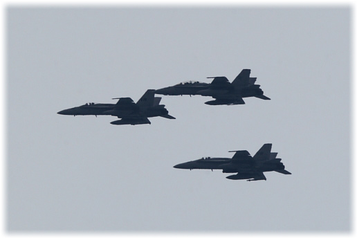 CH8D2010.jpg