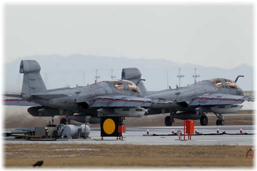CH8D8747.jpg