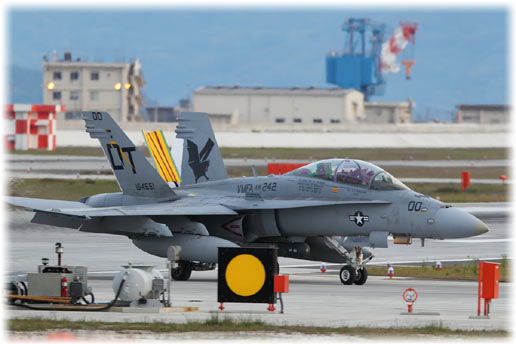 CH8D1092.jpg