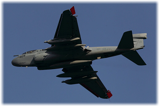 CH8D4634.jpg
