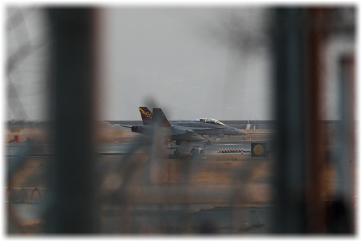 CH8D5164.jpg