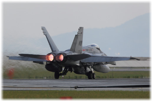 CH8D1149.jpg