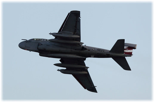 CH8D5747.jpg
