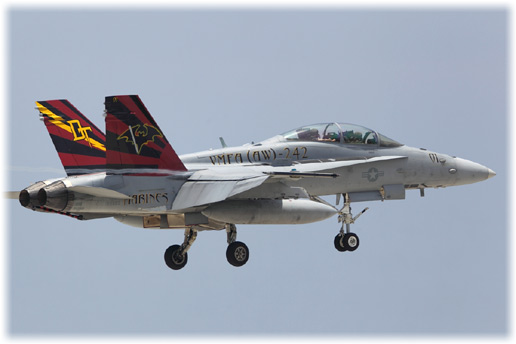 CH8D2389.jpg