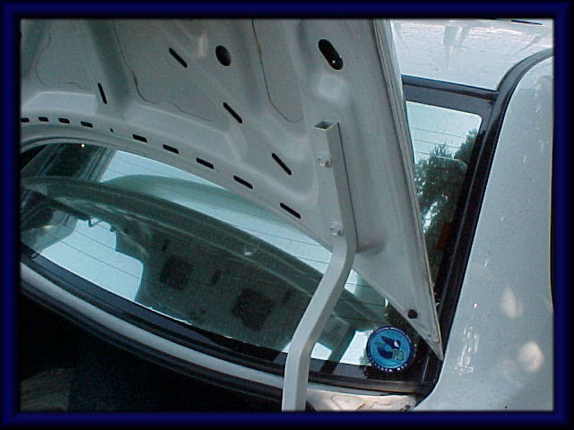 photo8.jpg