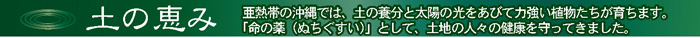 tuchi1.jpg