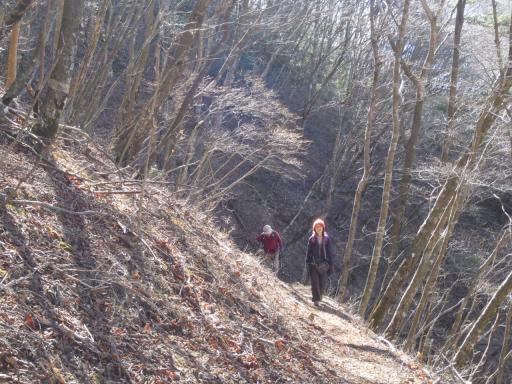 初冬の篠井山MTB 2011.12.11 隊長さんの山ある記 楽天ブログ