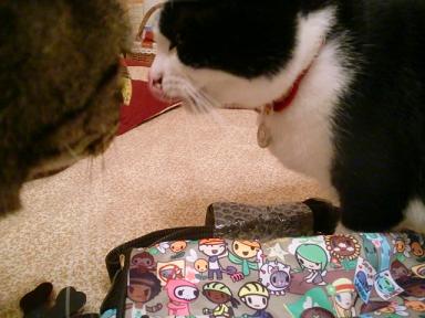 tokidoki2.JPG