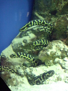 081108_1552~0002.jpg