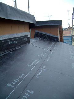 屋根2(07.09.05).jpg