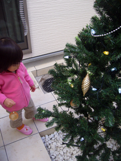 クリスマスツリー_3(07.12.24).jpg