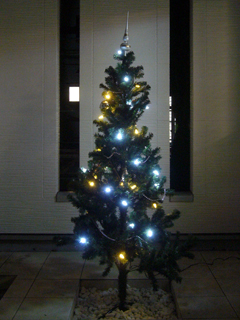 クリスマスツリー_5(07.12.24).jpg