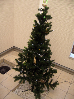 クリスマスツリー_6(07.12.24).jpg