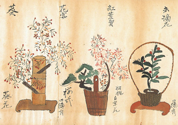 いけばな～歴史を彩る日本の美～ - 江户东京博物馆
