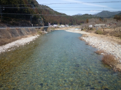 板取川が生まれ変わりつつあるよ！お魚さんが喜んでるよ！ | 関市役所ブログ - 楽天ブログ