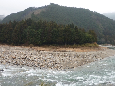 板取川が生まれ変わりつつあるよ！お魚さんが喜んでるよ！ | 関市役所ブログ - 楽天ブログ