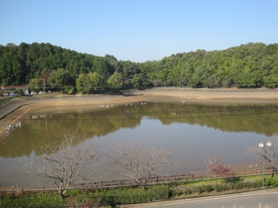 ため池ってなあに！？ | 関市役所ブログ - 楽天ブログ