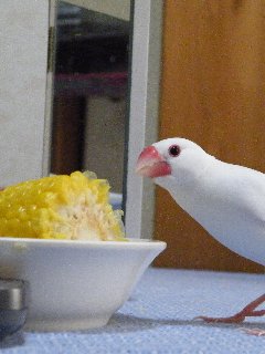 宴2