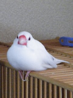 ご機嫌2日目♪2