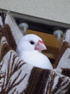 ホームグラウンド2