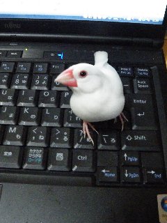 わぁ~ぃ♪1
