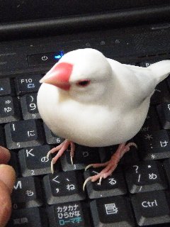 わぁ~ぃ♪2