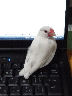 羨ましいでしょ♪