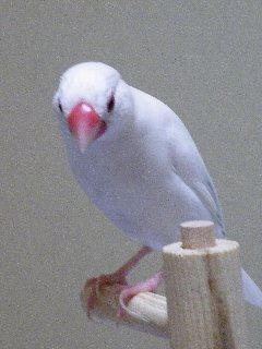 私もそう思う