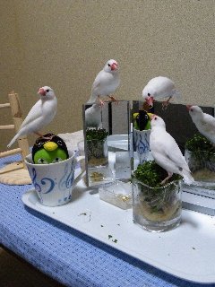 やっぱり主役♪