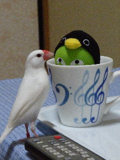 同居人にご挨拶♪