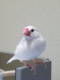 落ち着く環境2