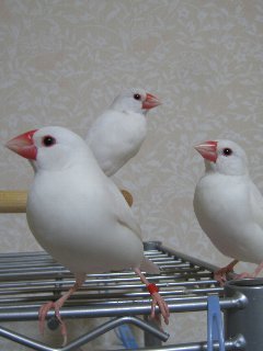 ひぇ~。