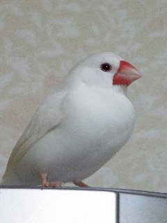 みんな頑張れよ♪