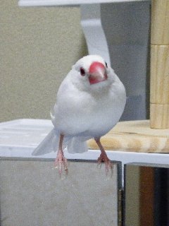 僕も欲しい♪