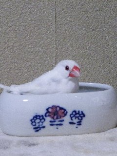 やっぱここだね♪2