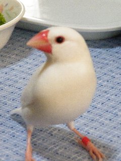 おやつ発見♪1