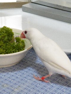 おやつ発見♪2