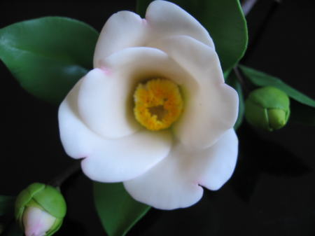 樹脂粘土の椿の花 | 私の作品 - 楽天ブログ