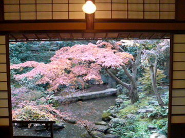 廣誠院の庭2
