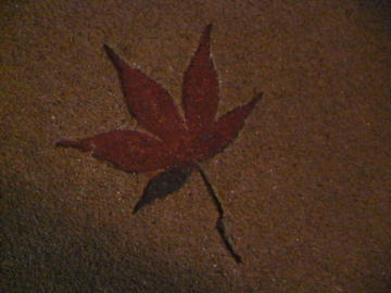 紅葉の間2