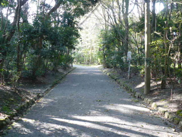 宗像大社参道