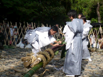 芋競べ祭り:芋競べ
