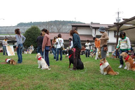 ワンワン運動会.png
