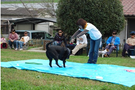運動会.png