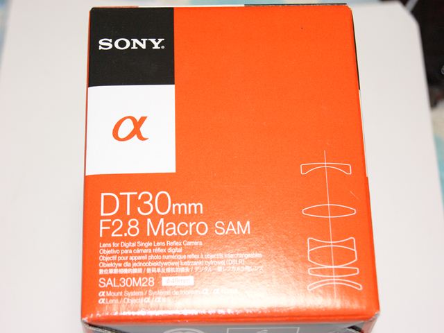 DSC06986_R.JPG
