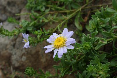 DSC07374_R.JPG