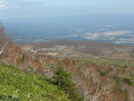 CIMG0707.JPG
