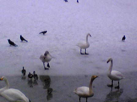 Image037.jpg